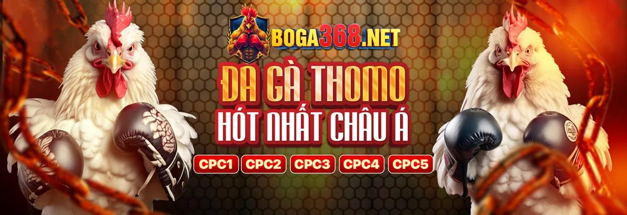 Sân đá gà trực tuyến 13win ok vip